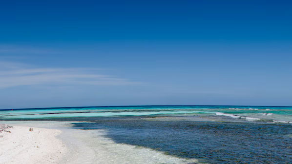 mohocaye